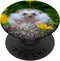 Smiling Hedgehog PopSockets PopGrip: Swappable Grip for Phones & Tablets