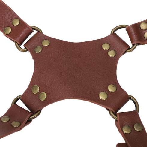 Fdit Lightweight Anti-Breakage Leather Double Shoulder Harness Strap for DSLR Cameras (23 * 17 * 6cm-2#)