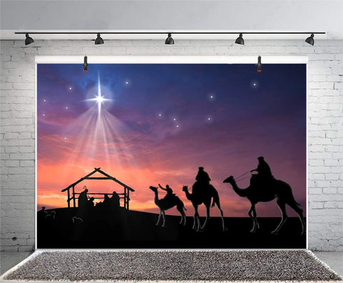 AOFOTO 7x5ft Nativity Scene Background, Shiny Star Birth of Christ for Church Concert Decor, Photography Props