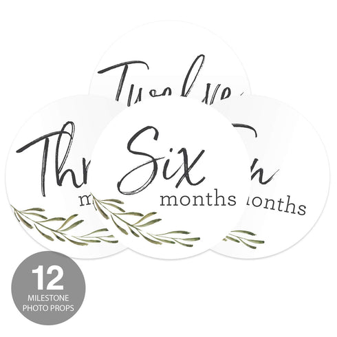 Baby Milestone Signs, Greenery Monthly Milestones, Botanical Infant Photo Prop