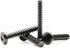 Replacement Screws for Stand Compatible with TCL 43S425