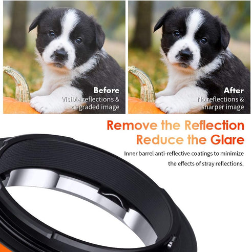 K&F Concept Lens Mount Adapter for Leica M Lens to Alpha Nex E-Mount Camera Body, Matting Varnish Design