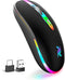 HZD LED Wireless Mouse, Slim Silent Rechargeable Optical Mouse with Type C Adapter, 3 Adjustable DPI Levels