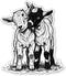 Sticker Mine Baby Goats Sticker - 3" Laptop Sticker - Waterproof Vinyl for Car,