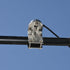 Tram 1249 NMO Mirror Mount Kit with 17ft Coaxial Cable