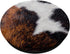 Cowhide Skin Spots with Black Brown White Farm Animal Skin PopSockets PopGrip: Swappable Grip for Phones & Tablets PopSockets Standard PopGrip