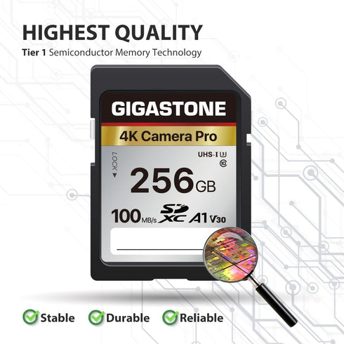 Gigastone 256GB Memory Card, 4K Pro Series Speed Up To 100MB/s, Compatible with Canon Nikon Sony Camcorder, A1 V30 UHS-I