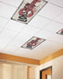 Velvessentia 3 Pack, 4x2 Summer Fluorescent Light Covers for Ceiling Lights Lobster Nautical Magnetic Classroom Light