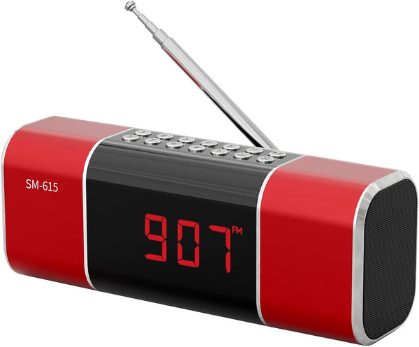 SEMIER Small Digital FM Radio with Bluetooth Speaker, Portable Rechargeable USB/SD Card MP3