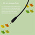 10 1 MP3 in Universal USB Cable, Multi Charging Cable Compatible with Multiple Cell Phones Bluetooth Earphone Speaker