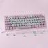 PBT Cute Kitty-cat Keycaps Set - 140 Keys Dye-Sublimation MOA Profile for Cherry Gateron MX Switches