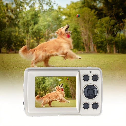 Tiiyee 5MP 16X 720P 2.4 inch Digital Pocket Camera, HD Zoom Digital Point and Shoot Camera Compact Small Screen