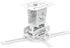 QualGear PRB-717-Wht Ceiling Mount Projector Accessory