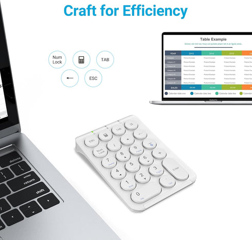 iClever Number Pad, KP08 Bluetooth Number Pad, Ultra Slim and Lightweight, USB-C Charge, for Laptop, iPad, Mac, PC