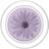 PopSockets Daisy Light Purple PopGrip for MagSafe