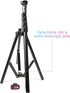 Olylogic All-in-One Extendable Phone Tripod & Selfie Stick, Lightweight Portable Camera Tripod Stand Compatible