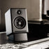 Audioengine DS1 Small Angled Speaker Stand, Designed for A1, A2+, A2 HD or Similarly Sized Speakers