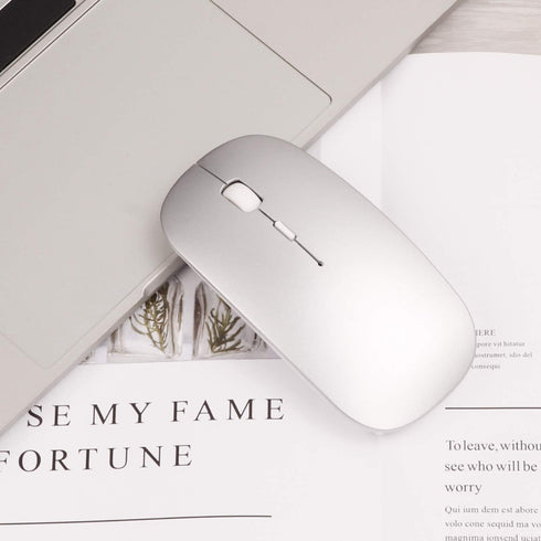 Wireless Mouse, 2.4G Slim Mute Silent Click Optical Mouse with USB Receiver and Type C Adapter for Notebook, PC,