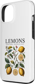 Vintage Botanical Fruit and Garden Art 13 Lemon Botanical Study Print Citrus Limon Vintage Fruit Case for iPhone