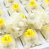 DRAOZA Gateron Milky Yellow Pro, 5 Pin Switches Pre-Lubed for MX Mechanical Gaming Keyboard (36pcs Milky Yellow)