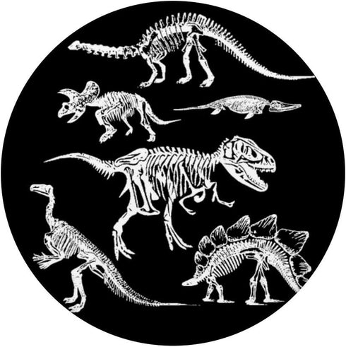 T-Rex Skeleton Dino Bones Paleontologist Fossil Dinosaur PopSockets Swappable PopGrip