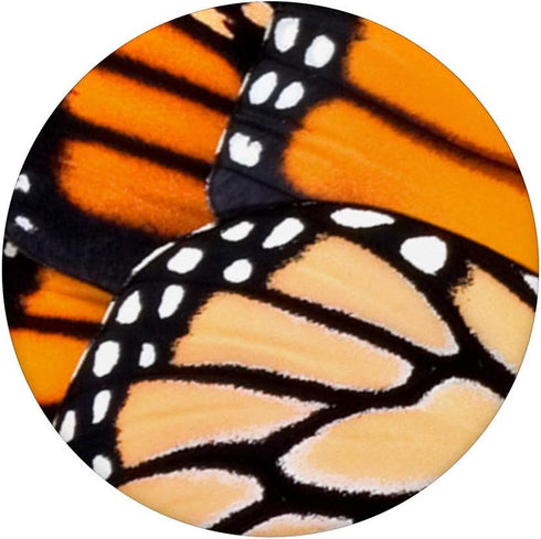 Monarch Butterfly Wing Pattern Insect Lepidopterist PopSocket Swappable PopGrip