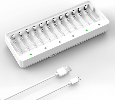 DLYFULL 12 Bay AA AAA Battery Charger, USB and Type-C Selectable High-Speeding Charging