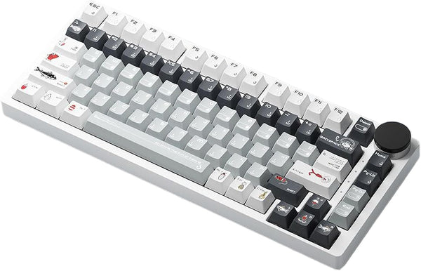 PBT Keycaps, 5-Sided Dye Sublimation Cherry Profile 142 Keys, Custom Keycap Set for 100%/96%/75%/65%/60% Mechanical