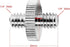 Anwenk Standard 1/4"-20 Male to 1/4"-20 Male Threaded Tripod Screw Adapter Standard Tripod Mounting Thread Camera Screw Adapter Converter, Precision Made (5 Pack)