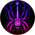 spider guitar PopSockets Swappable PopGrip