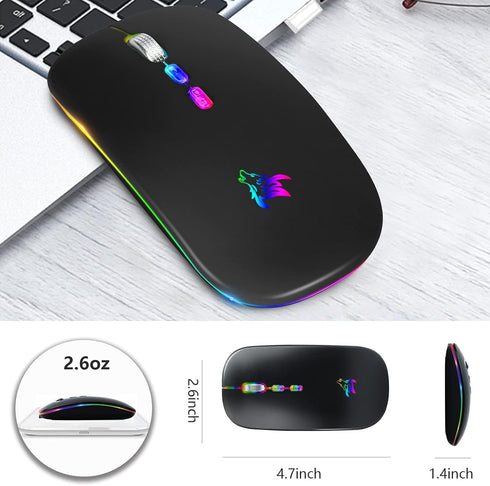 HOTLIFE Slim Rechargeable LED Wireless Mouse, Portable USB Optical 2.4G Bluetooth Computer Mice with Type C Adapter