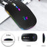 HOTLIFE Slim Rechargeable LED Wireless Mouse, Portable USB Optical 2.4G Bluetooth Computer Mice with Type C Adapter