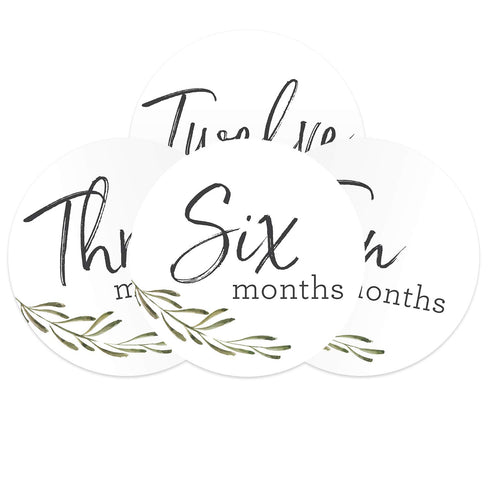 Baby Milestone Signs, Greenery Monthly Milestones, Botanical Infant Photo Prop