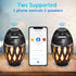 LED Flame Speakers, Bluetooth 4.2 Wireless Portable Outdoor Speaker with HD Audio, Waterproof, LED Flickers