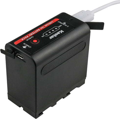 Kastar 1-Pack NP-F980EXP Battery and LTD2 USB Charger, Compatible with Bosma G1 Pro 8K Camera (MFT)