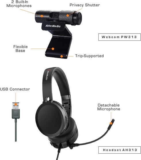 AVerMedia 317 Video Conference Kit