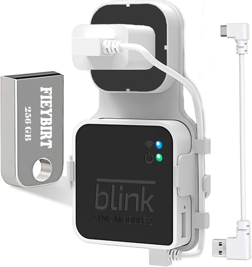Blink USB Flash Drive 256GB and Sync Module 2 Mount, Easy Move Mount Bracket Holder for Blink Security System