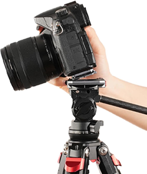 IFOOTAGE Camera Quick Release Plate Q38, Tripod Mount Adapter for Sony Canon Monopod DSLR Stabilizer Slider