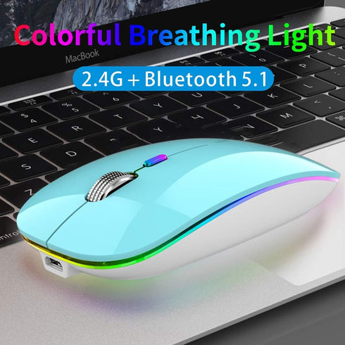 TENMOS Wireless Bluetooth Mouse, LED Slim Dual Mode (Bluetooth 5.1 + USB) 2.4GHz Rechargeable Silent Bluetooth Wireless Mouse with Type C Adapter for Laptop/Macbook/iPad OS 13 and above (Blue)