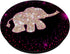 Cute Baby Elephant Women Cool Gift Animal Lover PopSockets PopGrip: Swappable Grip for Phones & Tablets