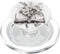 Cute Book Lover Reading Bookworm Botanical Books and Flowers Reading Book Lover Floral PopSockets MagSafe PopGrip for iPhone