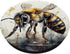 Bee Honeybee Bumblebee Watercolor Graphic PopSockets Standard PopGrip