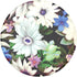 PopSockets Plant-Based Phone Grip with Expanding Kickstand, Eco-Friendly - Night Blooms