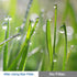 Sedremm 58mm 4 Filter(4 Points,6 Points,8 Points,12 Pinch 4 Star Filter Pieces Starburst Lens Points) with Centre Lens