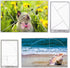 6Pcs 3 DICOSMETIC Styles Composition Viewfinder Acrylic View Finder Clear Ratio Composition Tool Golden Triangle
