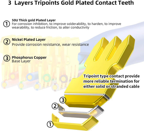 AMPCOM RJ45 Connectors, Standard Modular Plugs, UTP Gold-Plated 2 Pieces Suit CAT6 RJ45 8P8C Crimp End for Ethernet