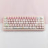 Hyekit PBT Keycaps, 145 Keys, Pink Pig Keycaps, Dye-Sublimation, MOA Profile Custom Keycaps for Cherry Gateron MX