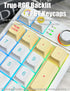 Gasket Creamy Wireless Mechanical Numpad, Programmable Macro Keypad with RGB Backlit, Hot Swappable, Rechargeable,