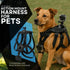 Ultimaxx Pet Action Camera Mount Harness - Compatible with Most Cameras
