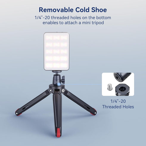 SmallRig Mini Ball Head (2 Pack) with 1/4" Screw, Removable Shoe Mount, 360 Degree Rotatable Aluminum Tripod Head